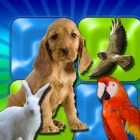 Musical Flash Cards - Animals images sounds and words for kids HD